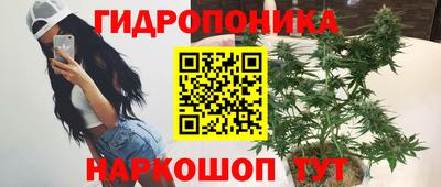 герыч Можга