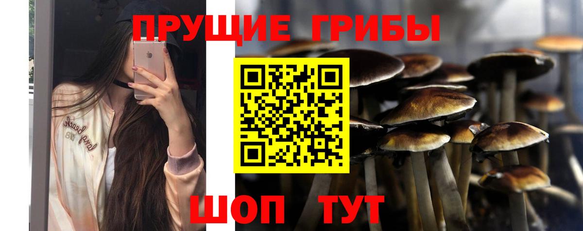 Галлюциногенные грибы Cubensis  Вход с VPN  Киржач 